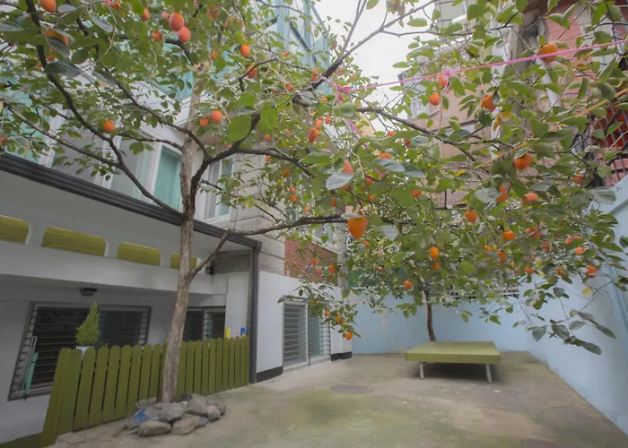 Hongdae Cozy 3-bedroom With Garden - 5 Min To Subway 別墅 *